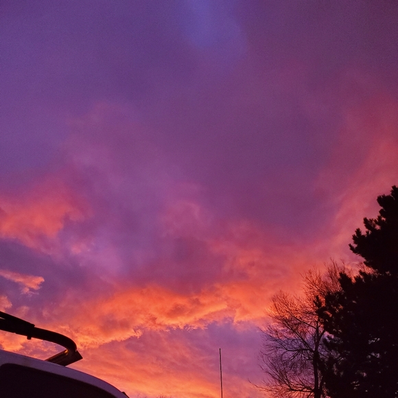 Meet your Posher, Nikki - Picture 1 of 1